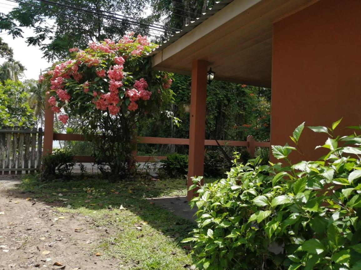 Cahuita Lodge Exteriér fotografie